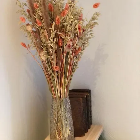 Du Samson - Homestay Mozet