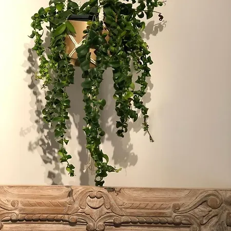 Du Samson - Homestay, 2nd Floor